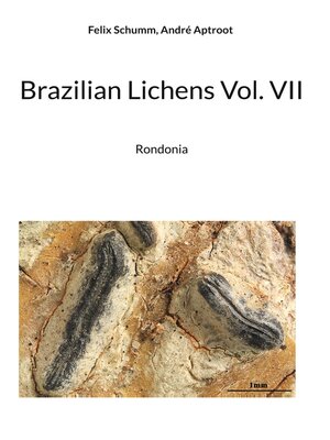 cover image of Brazilian Lichens Volume VII